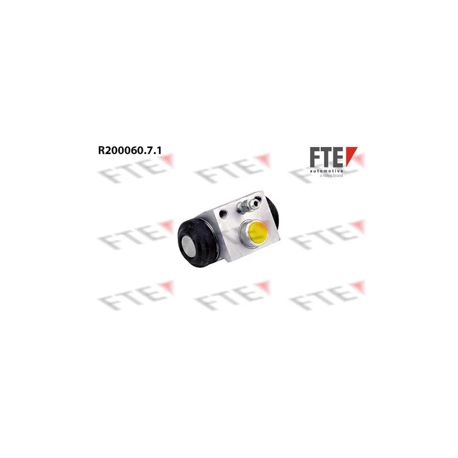 FTE R200060.7.1 Wheel Brake Cylinder