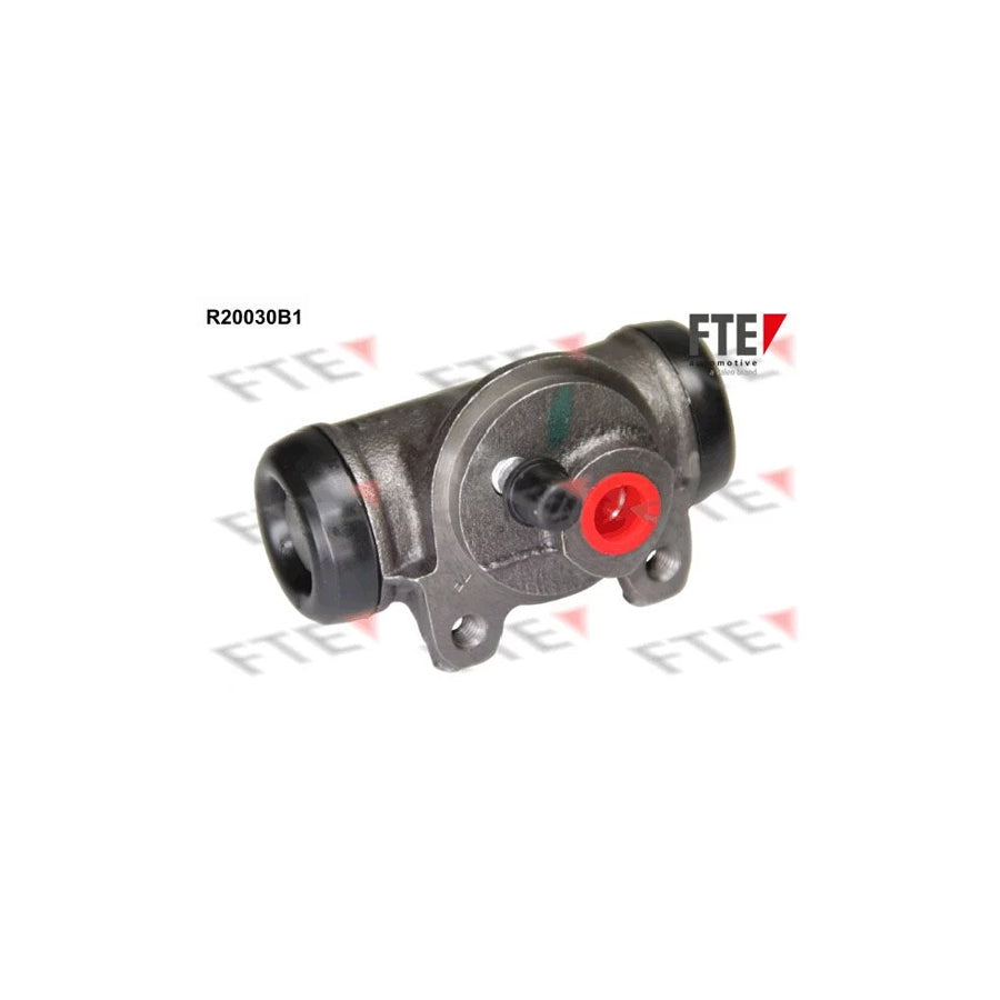 FTE R20030B1 Wheel Brake Cylinder