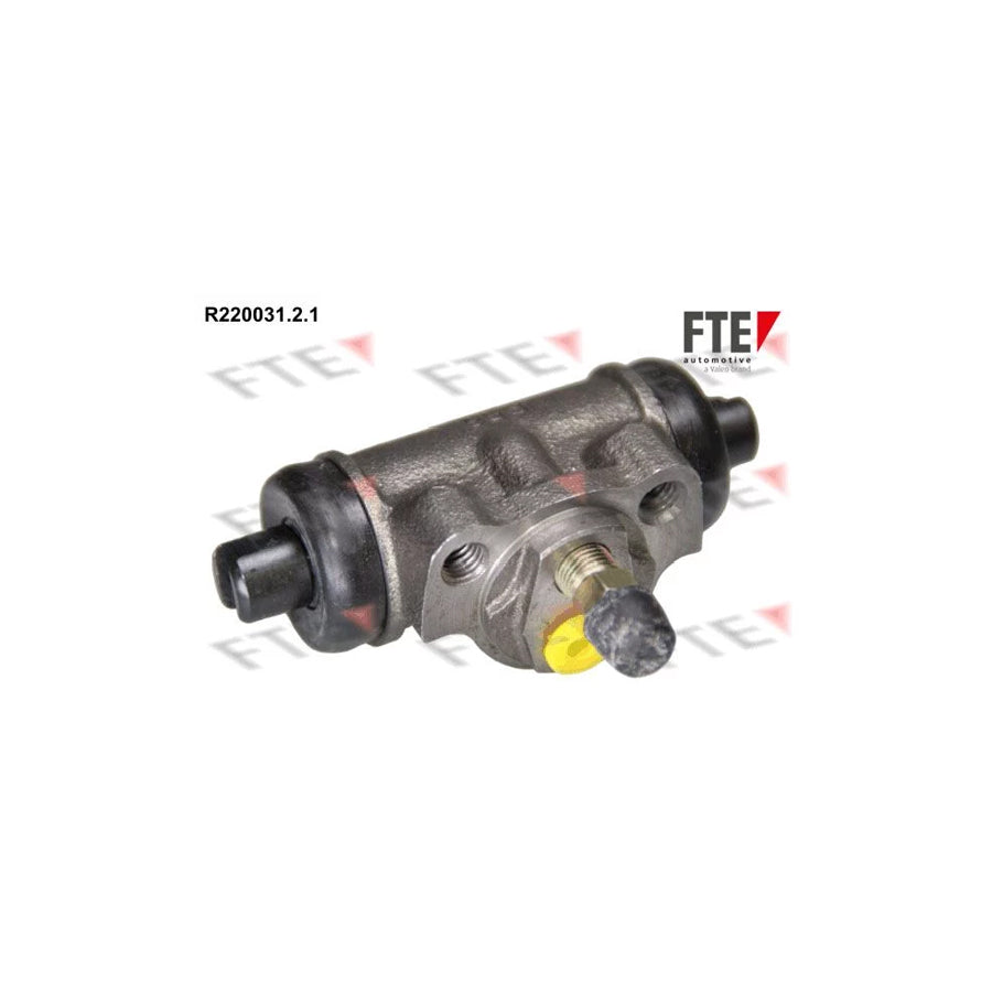 FTE R220031.2.1 Wheel Brake Cylinder