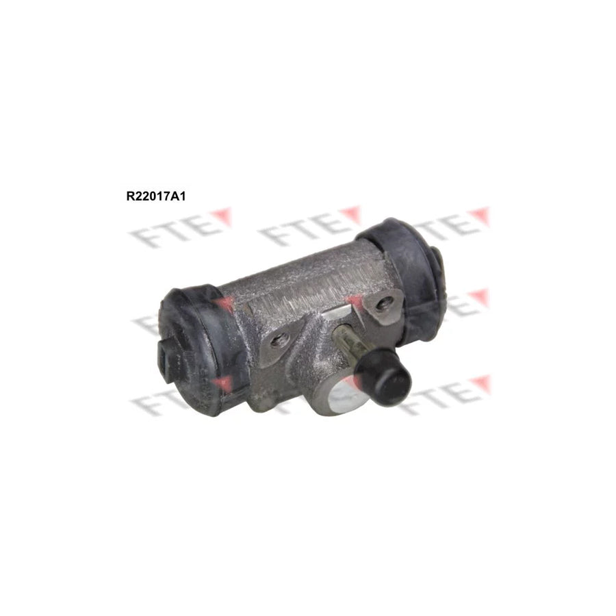 FTE R22017A1 Wheel Brake Cylinder