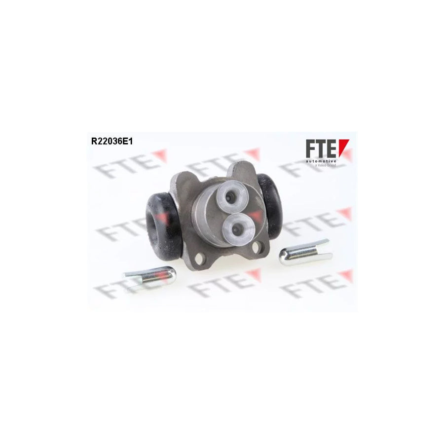 FTE R22036E1 Wheel Brake Cylinder