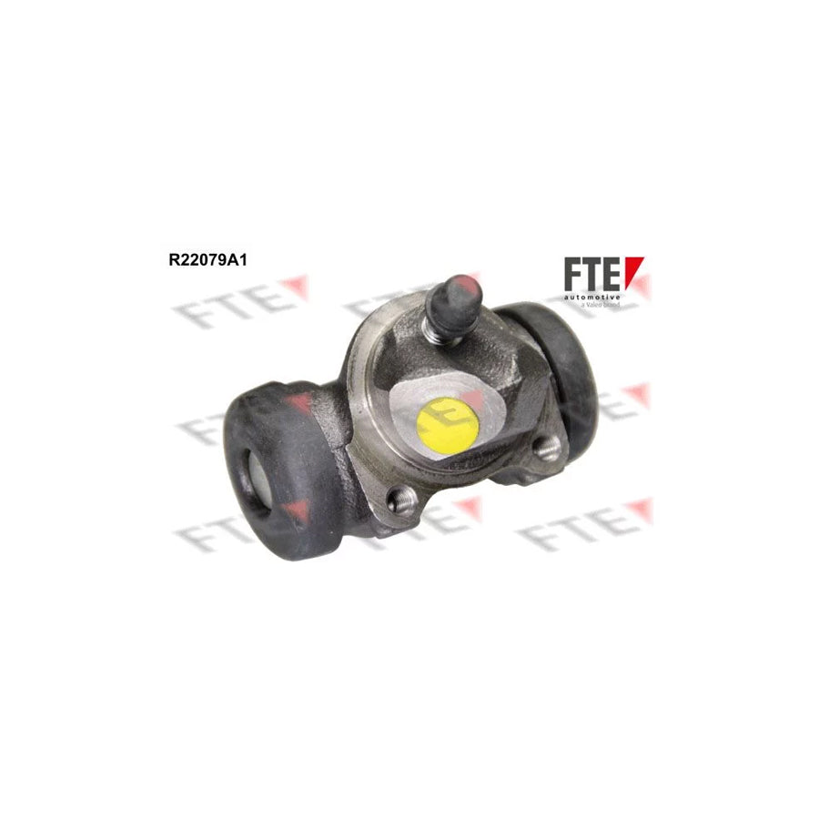 FTE R22079A1 Wheel Brake Cylinder