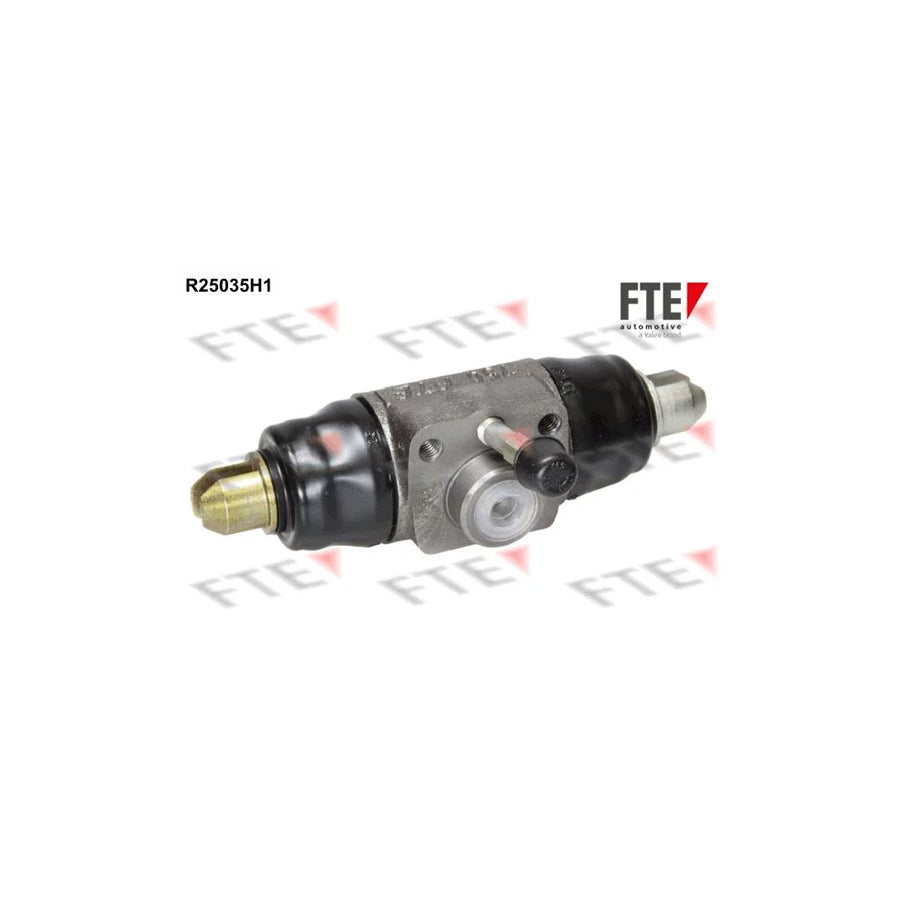 FTE R25035H1 Wheel Brake Cylinder