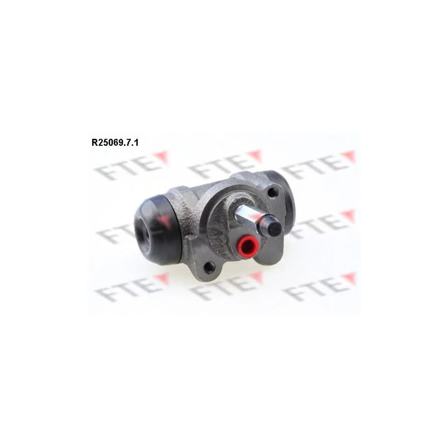 FTE R25069.7.1 Wheel Brake Cylinder