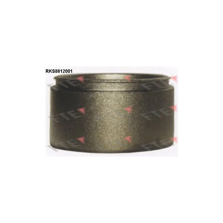 FTE Rks8612001 Piston, Brake Caliper