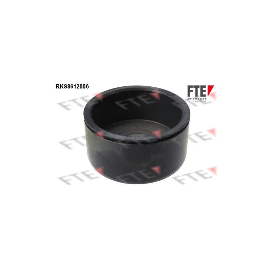 FTE Rks8612006 Piston, Brake Caliper
