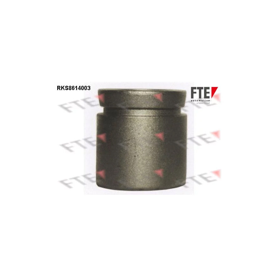 FTE Rks8614003 Piston, Brake Caliper for Isuzu Trooper
