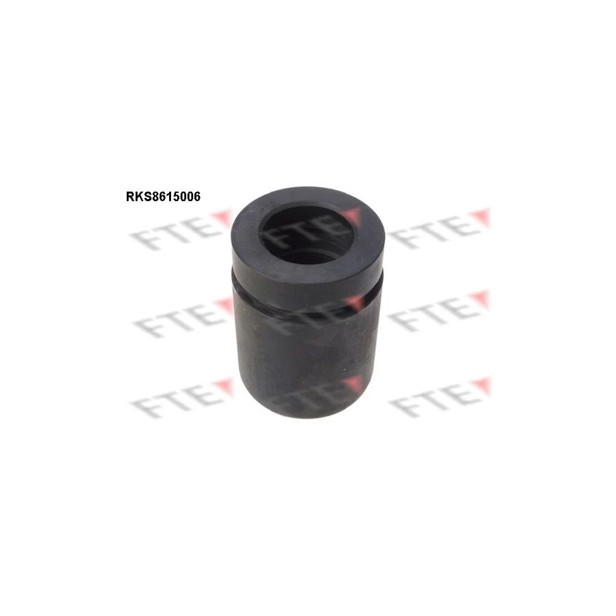 FTE Rks8615006 Piston, Brake Caliper