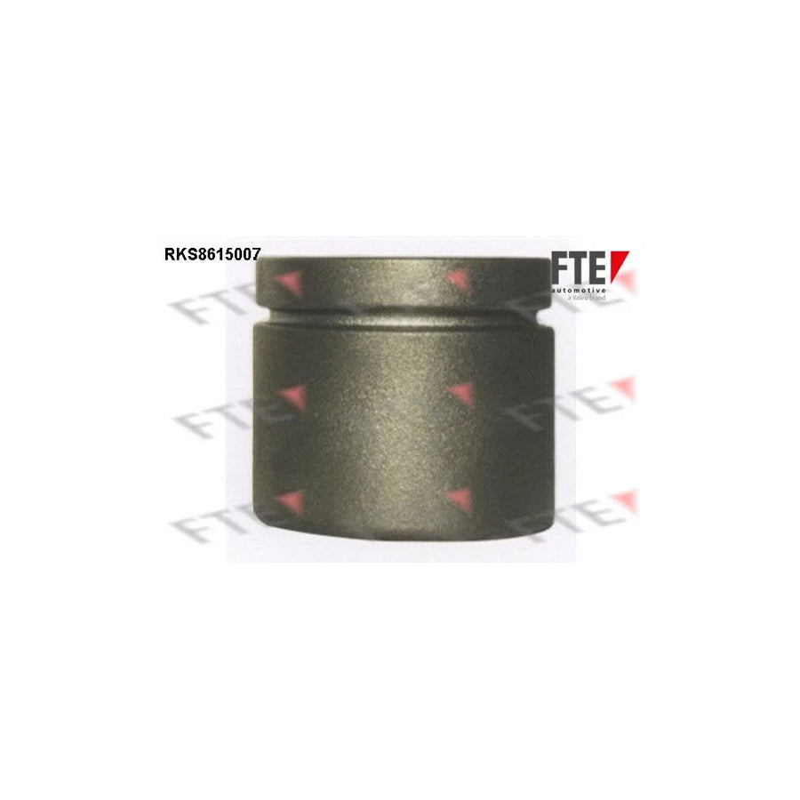 FTE Rks8615007 Piston, Brake Caliper