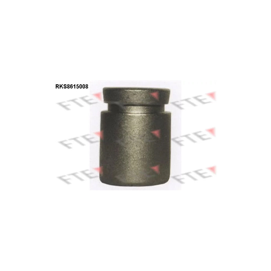FTE Rks8615008 Piston, Brake Caliper