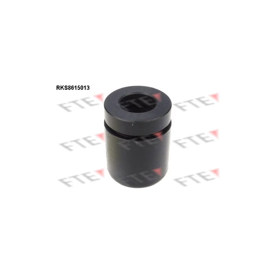 FTE Rks8615013 Piston, Brake Caliper for BMW 3 Series