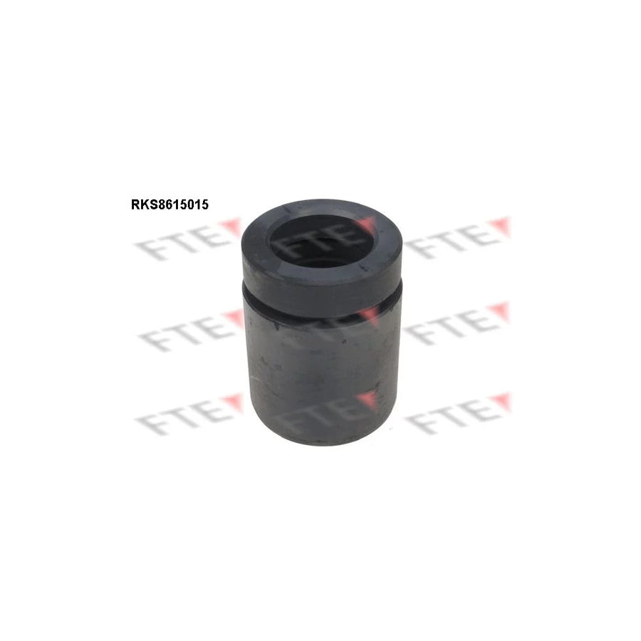 FTE Rks8615015 Piston, Brake Caliper for BMW 5 Saloon (E39)