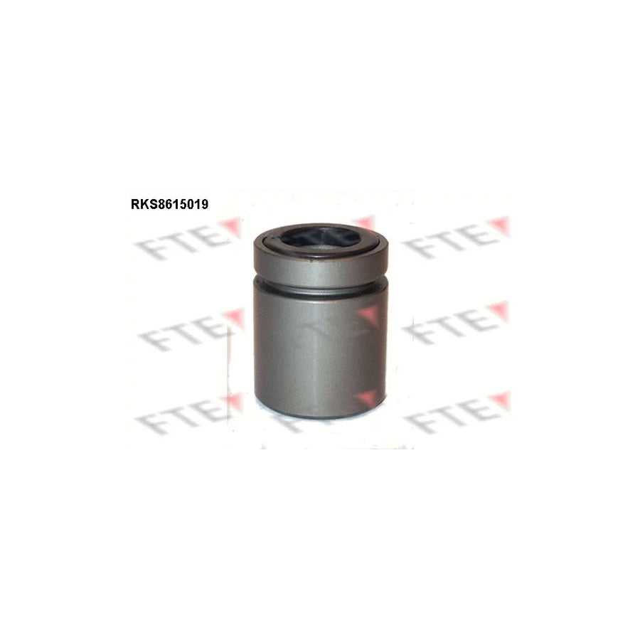 FTE Rks8615019 Piston, Brake Caliper for BMW 5 Touring (E39)