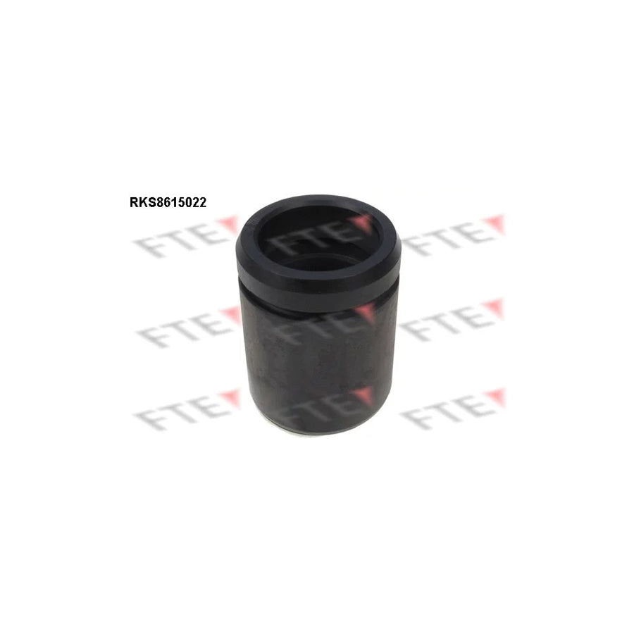 FTE Rks8615022 Piston, Brake Caliper
