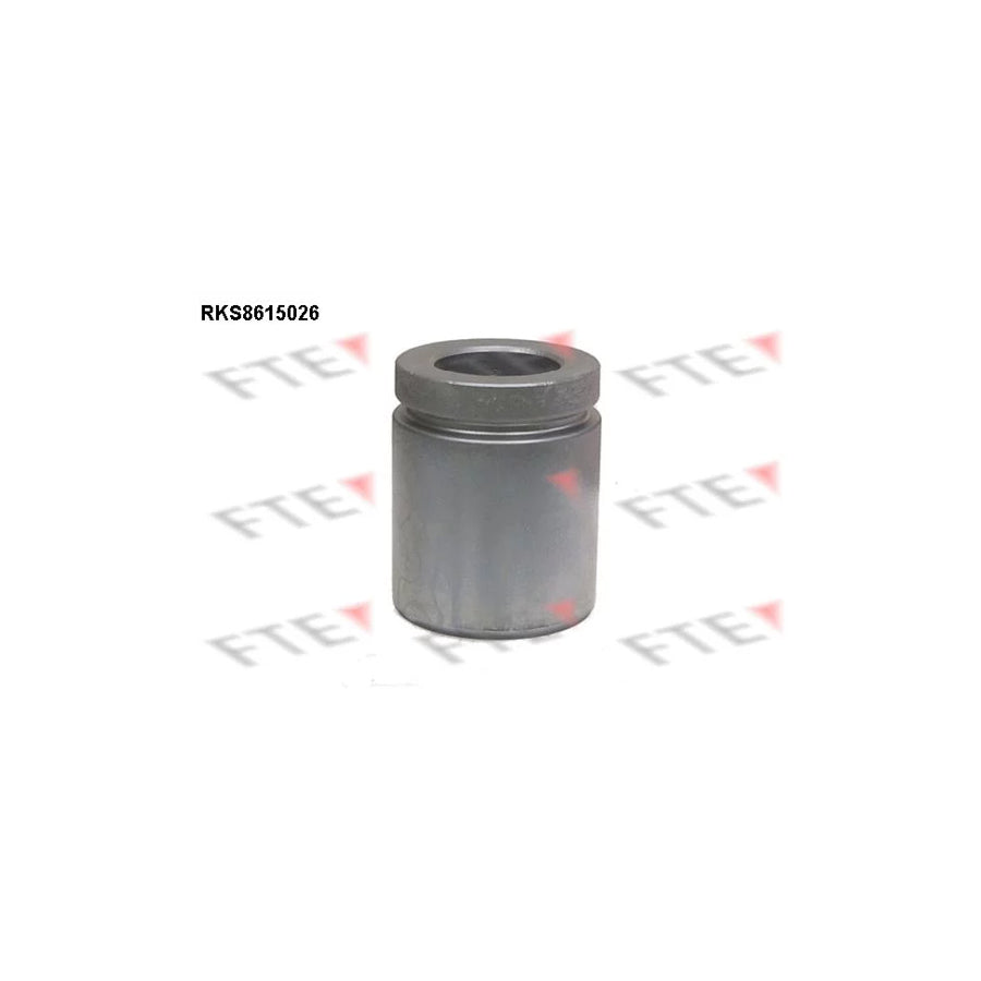 FTE Rks8615026 Piston, Brake Caliper for BMW X5 (E53)