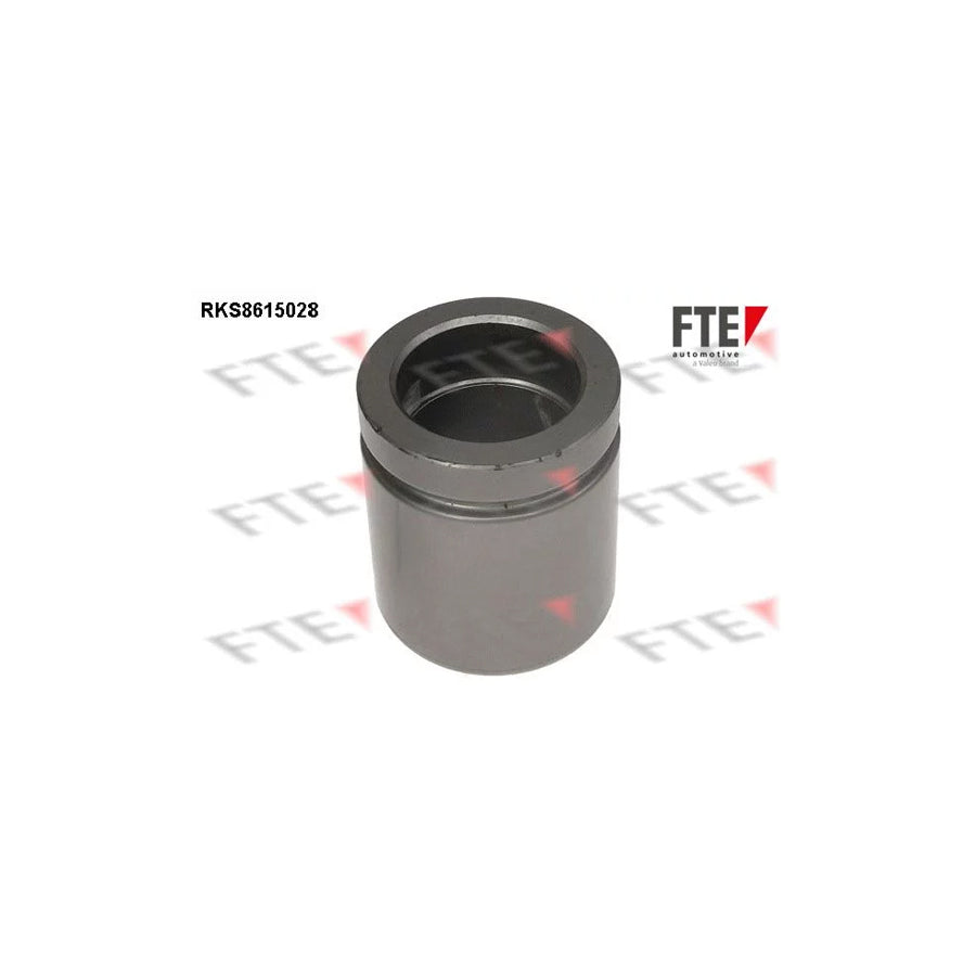 FTE Rks8615028 Piston, Brake Caliper
