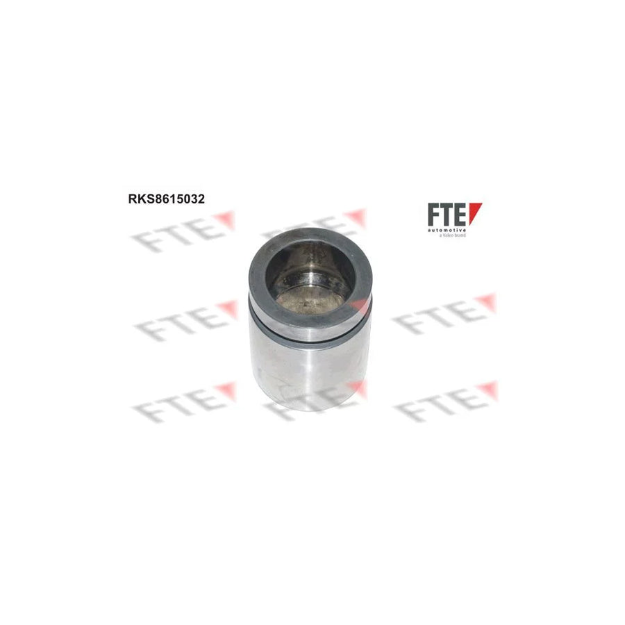 FTE Rks8615032 Piston, Brake Caliper