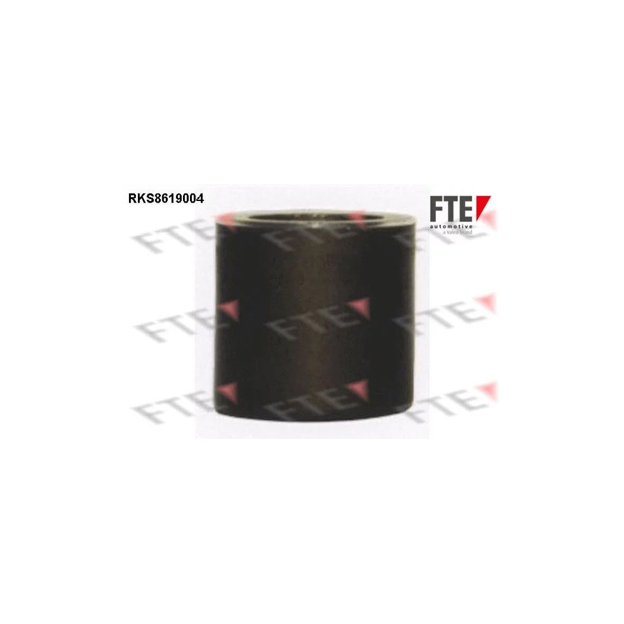 FTE Rks8619004 Piston, Brake Caliper