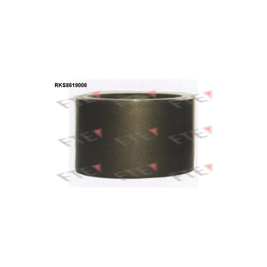 FTE Rks8619006 Piston, Brake Caliper