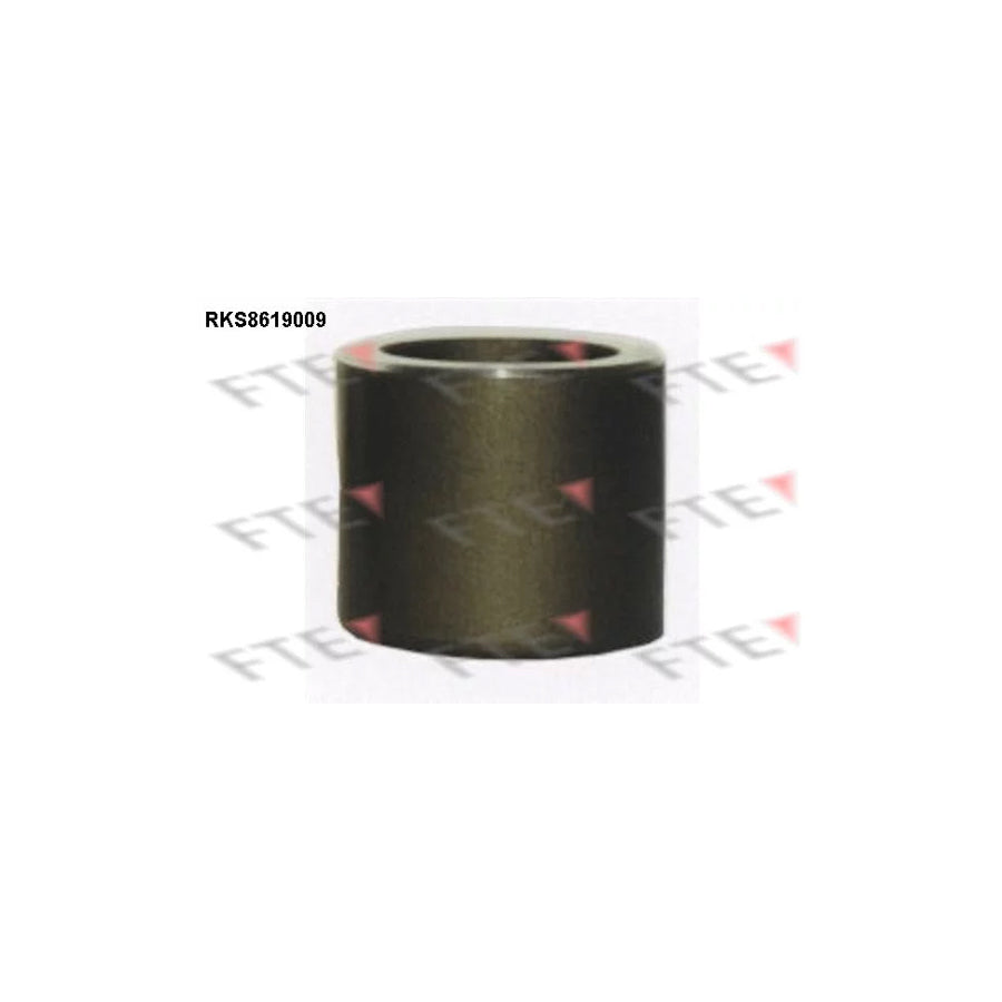 FTE Rks8619009 Piston, Brake Caliper