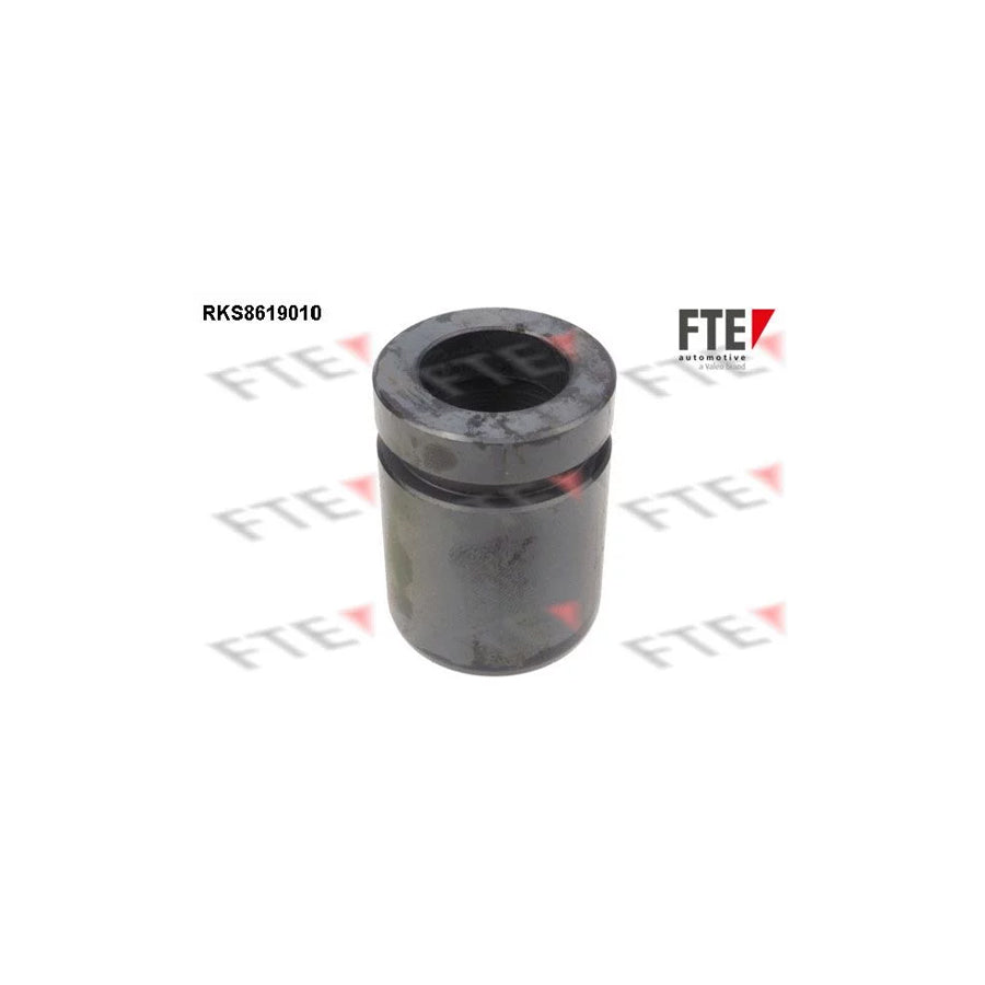 FTE Rks8619010 Piston, Brake Caliper