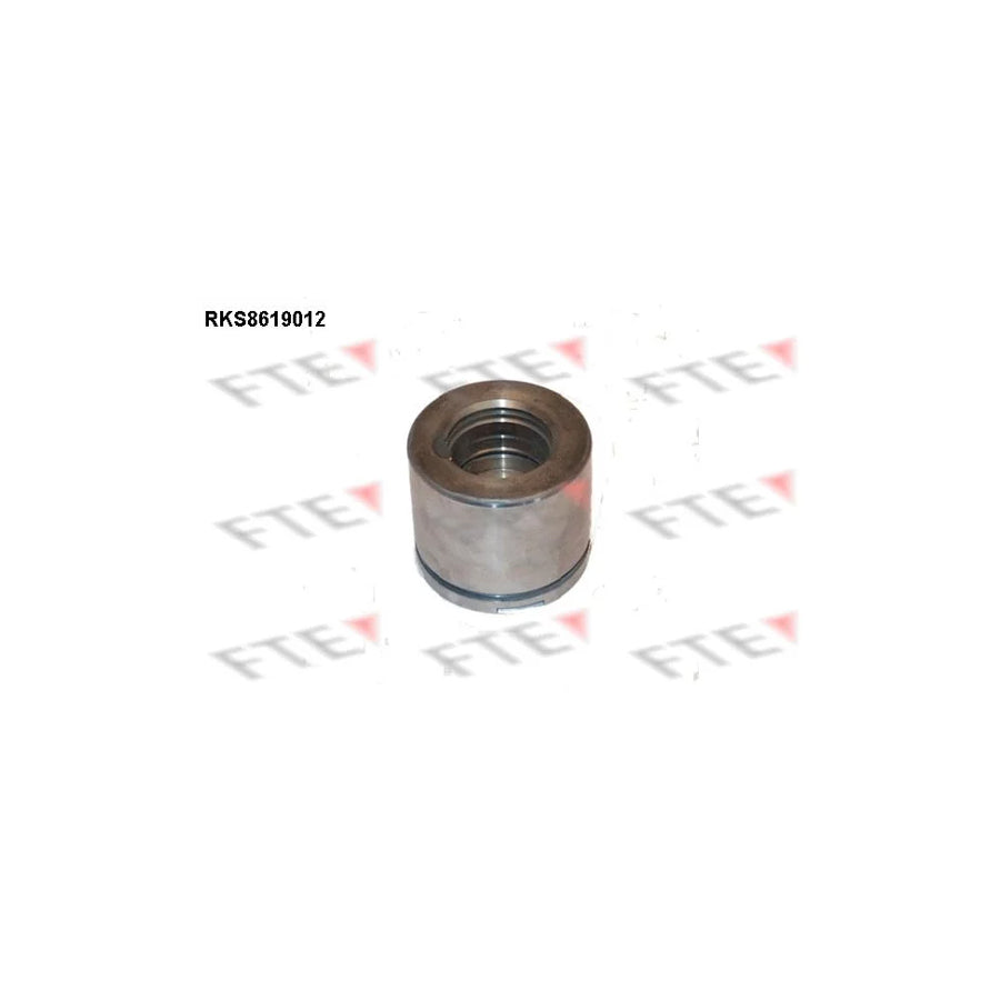 FTE Rks8619012 Piston, Brake Caliper