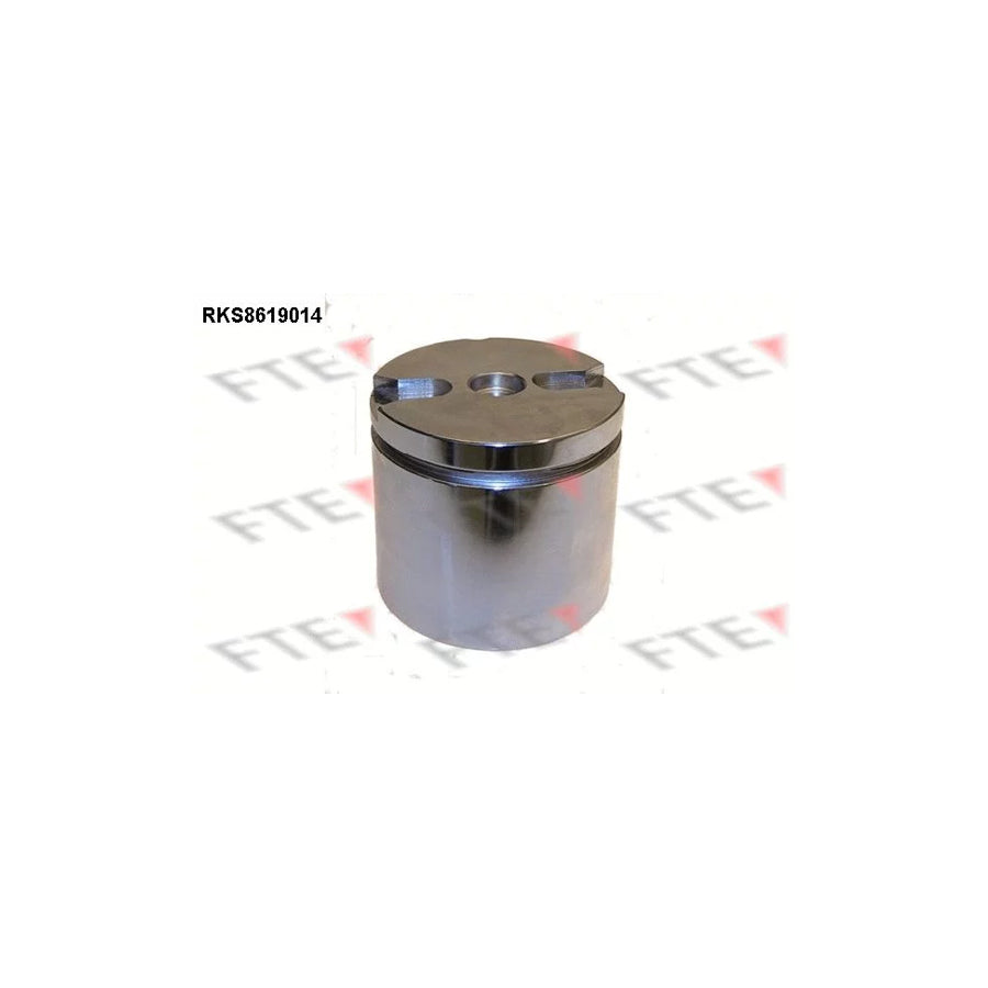 FTE Rks8619014 Piston, Brake Caliper for Citroã N C5
