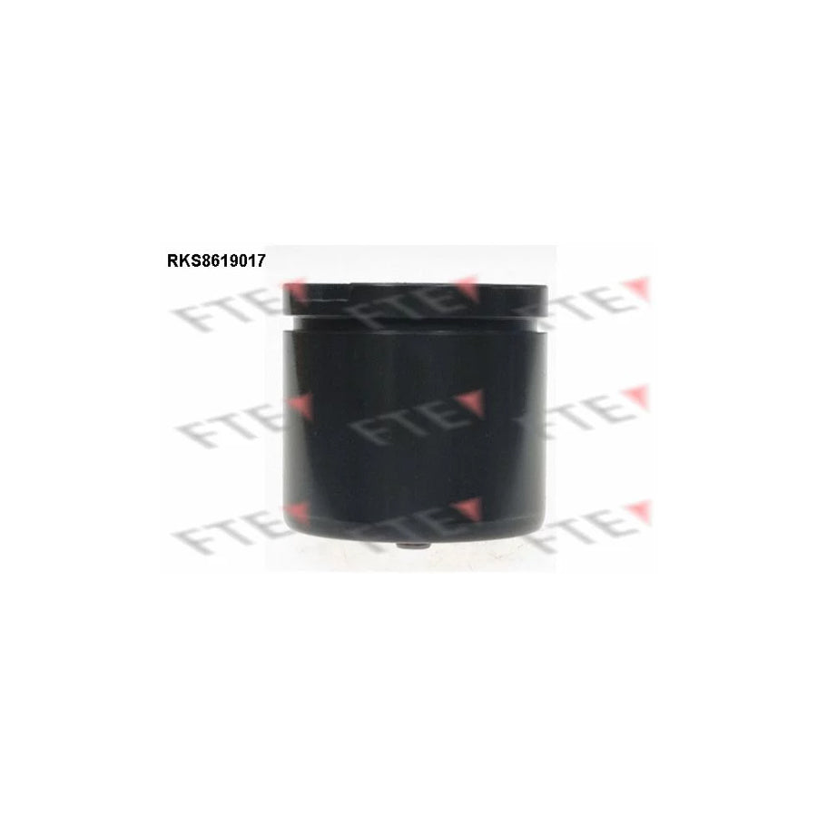 FTE Rks8619017 Piston, Brake Caliper