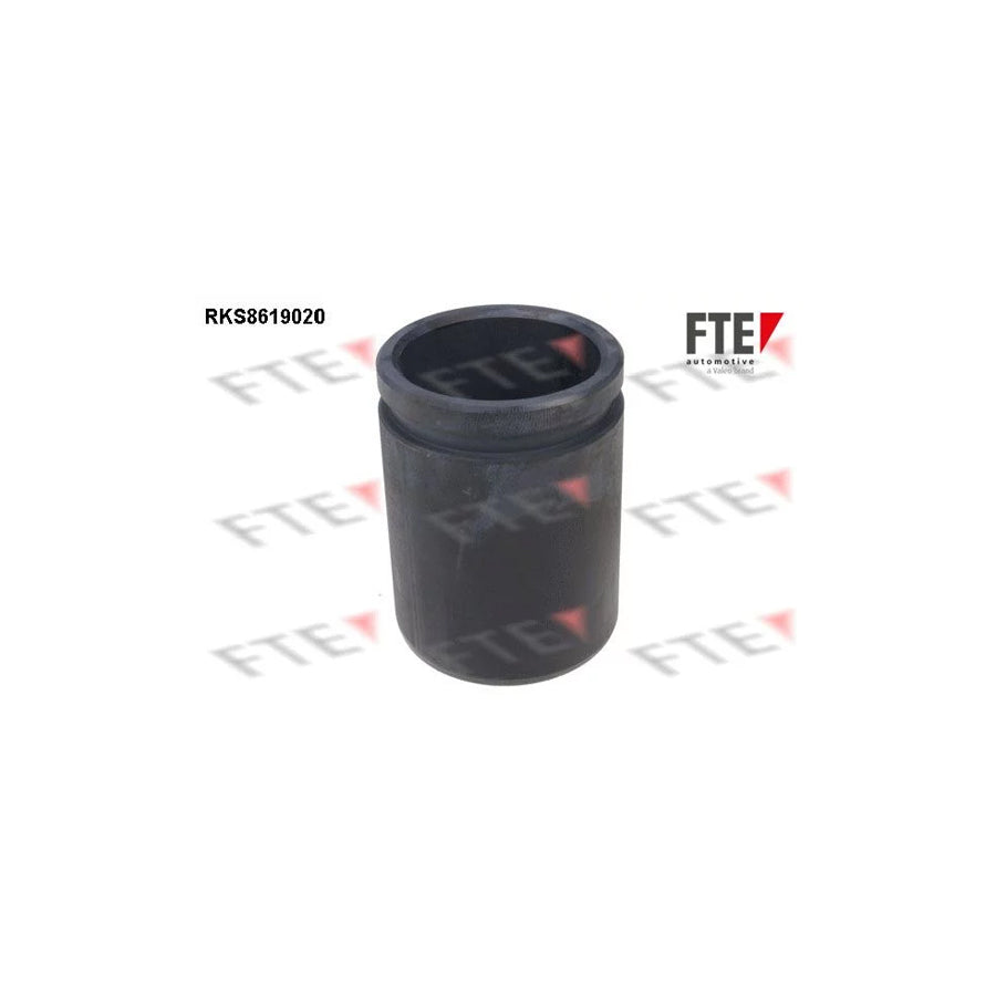FTE Rks8619020 Piston, Brake Caliper