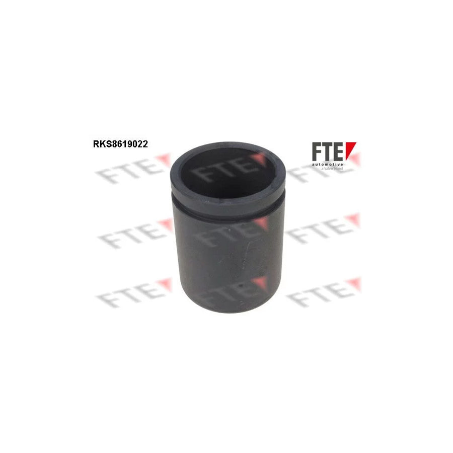 FTE Rks8619022 Piston, Brake Caliper