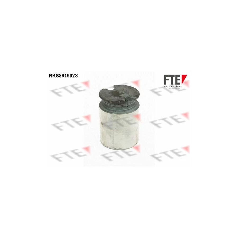 FTE Rks8619023 Piston, Brake Caliper for Toyota Avensis