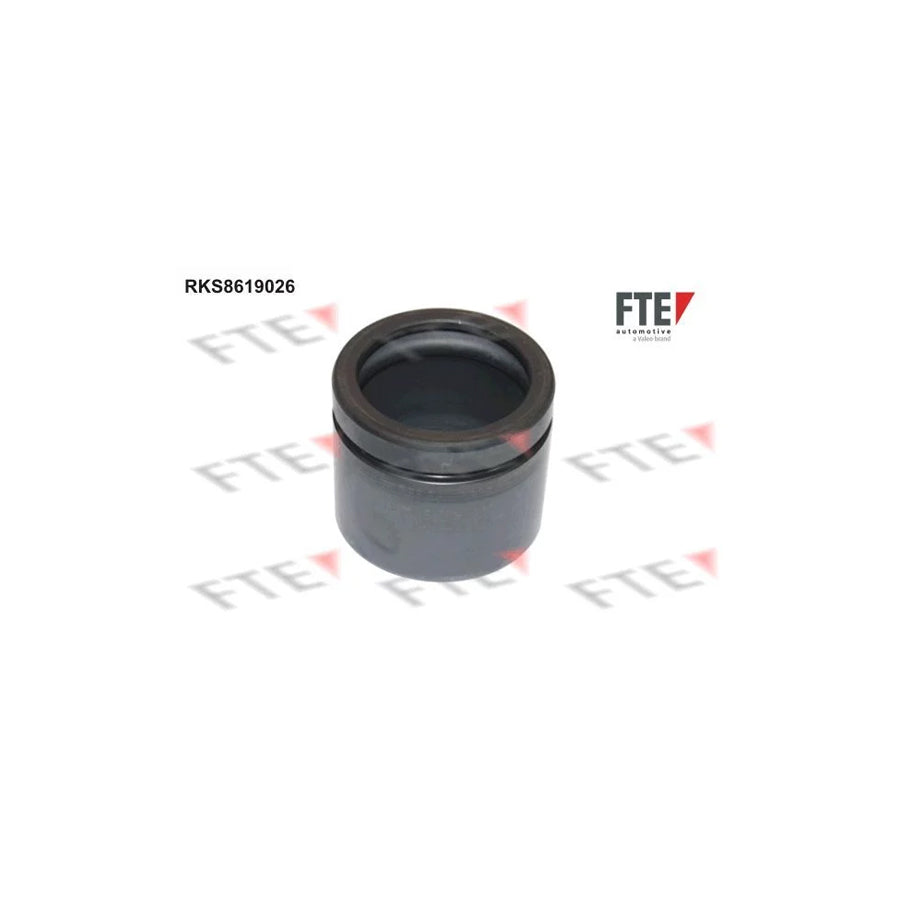 FTE Rks8619026 Piston, Brake Caliper