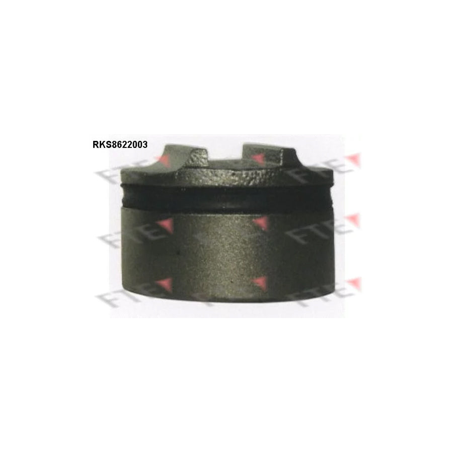 FTE Rks8622003 Piston, Brake Caliper