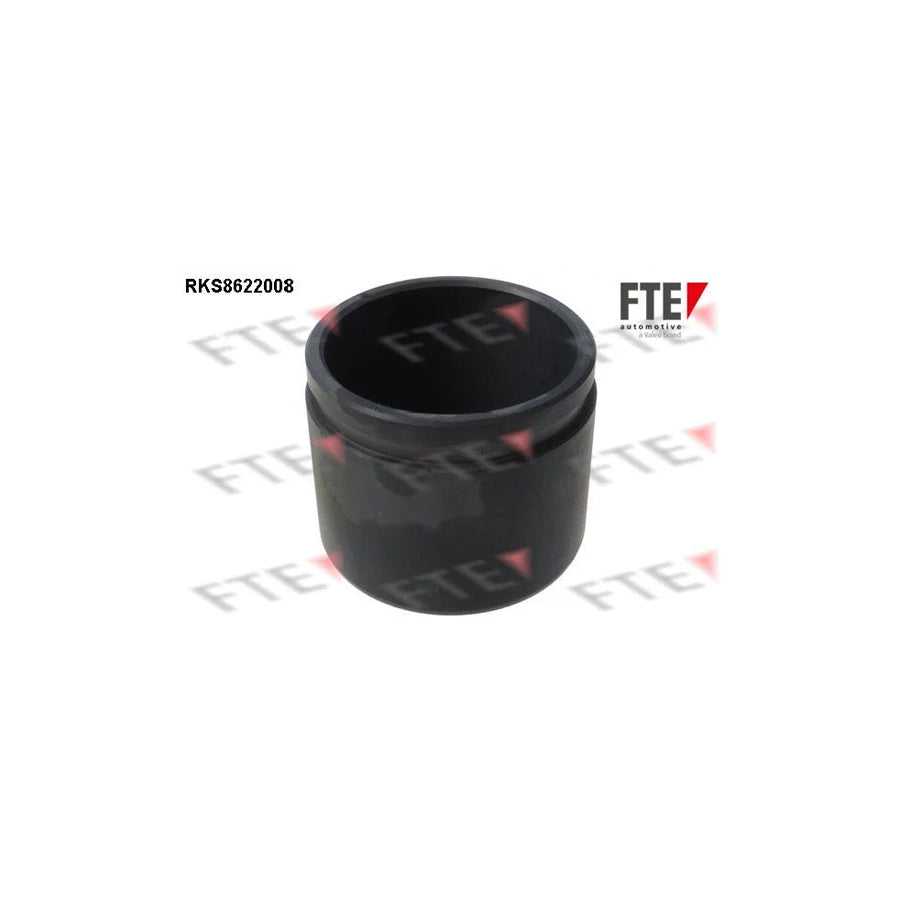 FTE Rks8622008 Piston, Brake Caliper for Nissan Bluebird