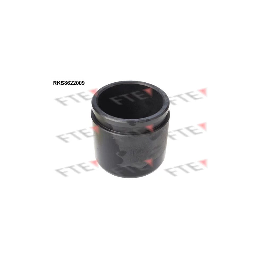 FTE Rks8622009 Piston, Brake Caliper