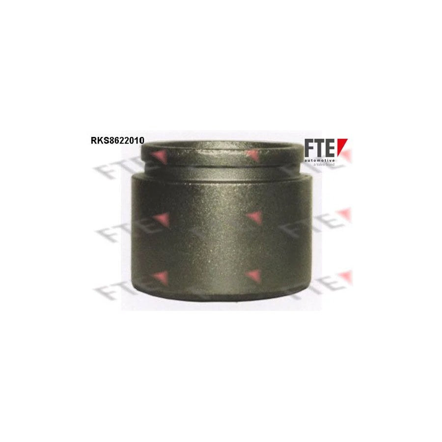 FTE Rks8622010 Piston, Brake Caliper