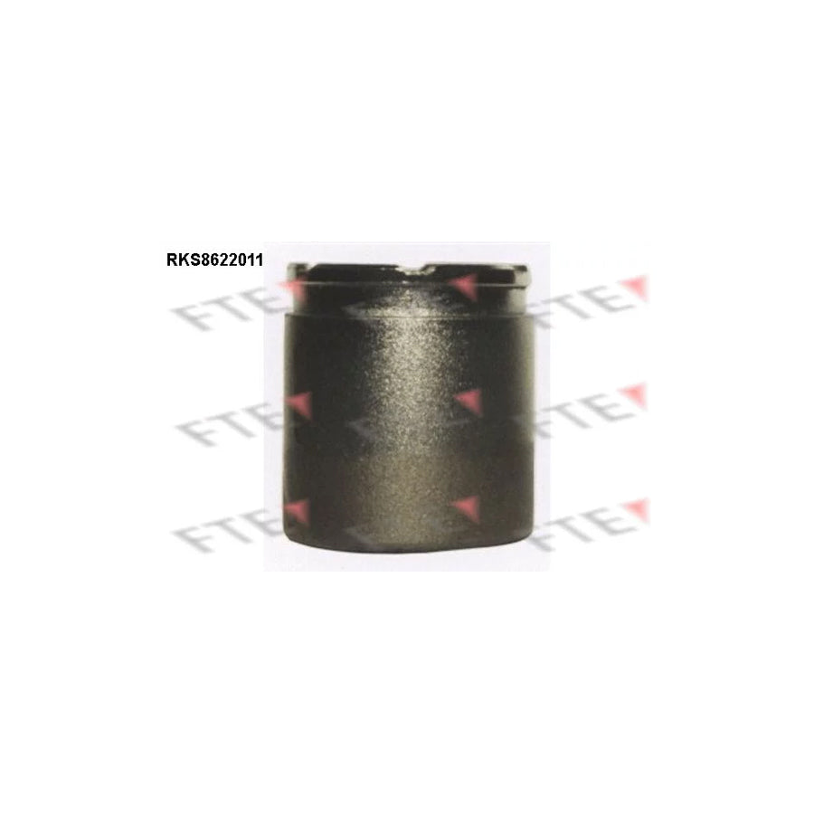 FTE Rks8622011 Piston, Brake Caliper