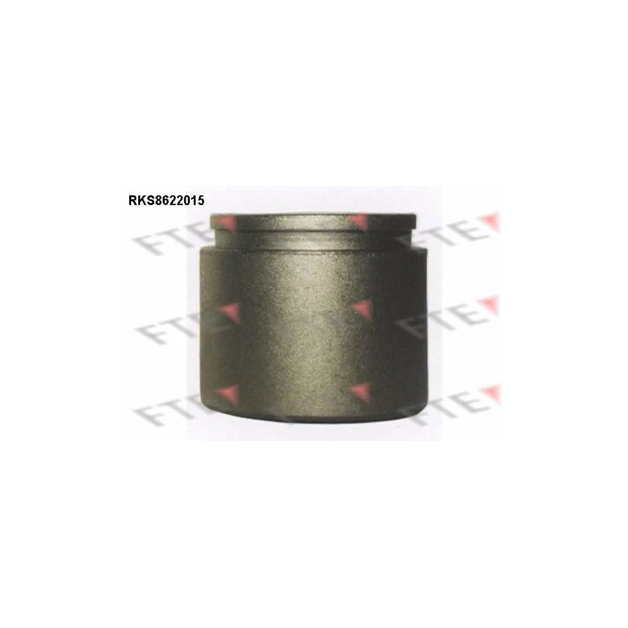 FTE Rks8622015 Piston, Brake Caliper