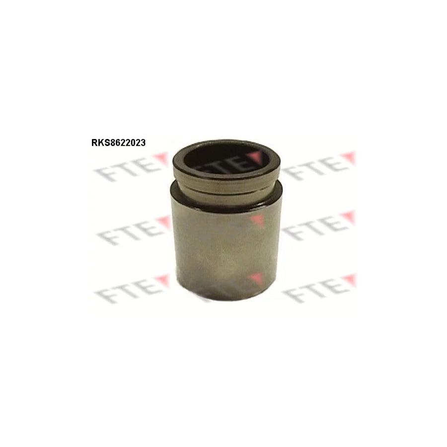 FTE Rks8622023 Piston, Brake Caliper