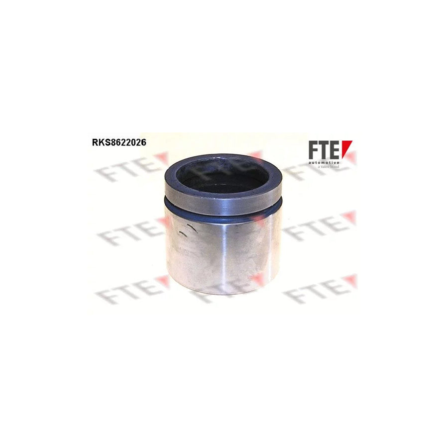FTE Rks8622026 Piston, Brake Caliper for Nissan Patrol Gr V Off-Road (Y61)