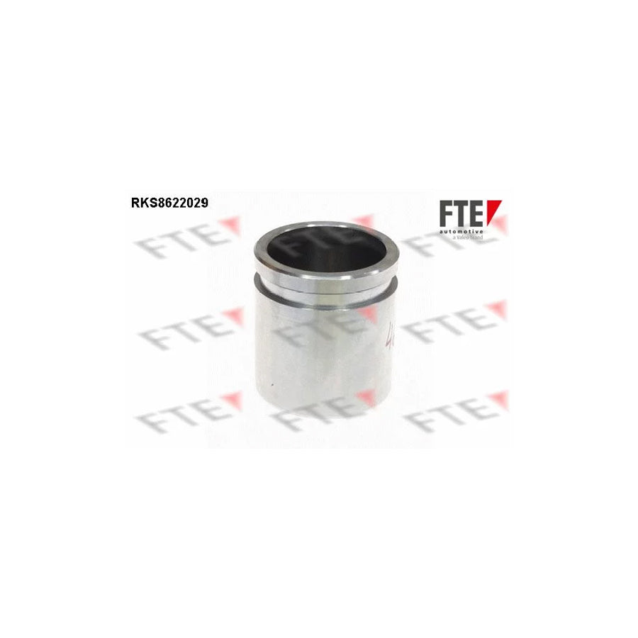 FTE Rks8622029 Piston, Brake Caliper