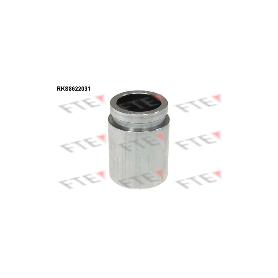 FTE Rks8622031 Piston, Brake Caliper