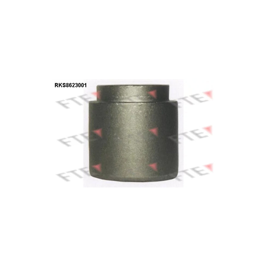 FTE Rks8623001 Piston, Brake Caliper