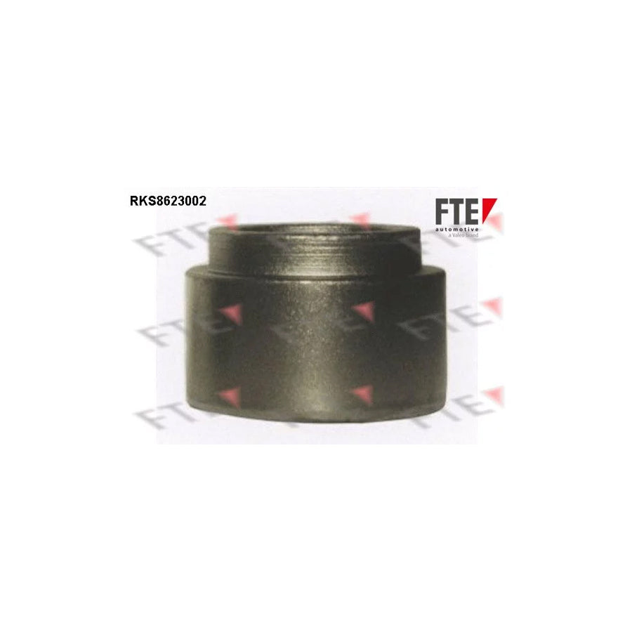 FTE Rks8623002 Piston, Brake Caliper