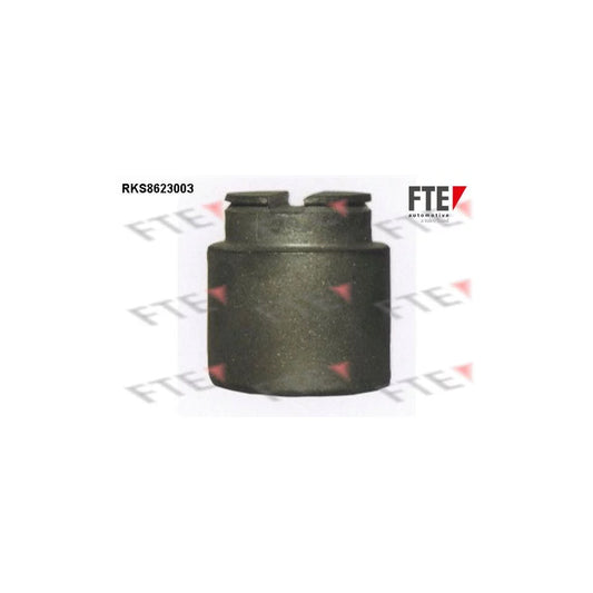 FTE Rks8623003 Piston, Brake Caliper