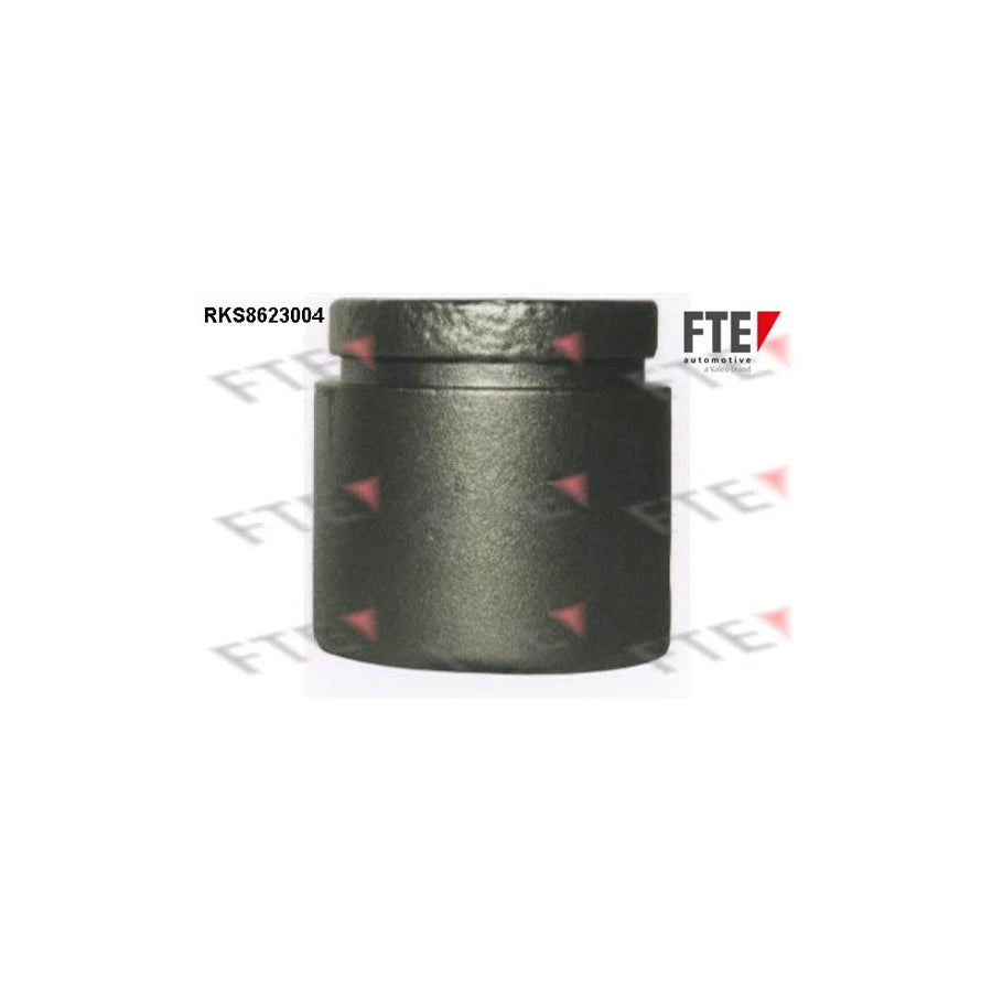 FTE Rks8623004 Piston, Brake Caliper