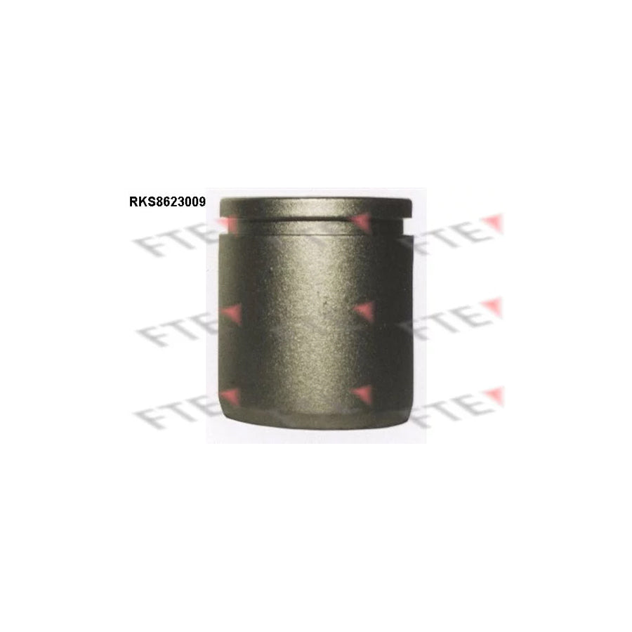 FTE Rks8623009 Piston, Brake Caliper