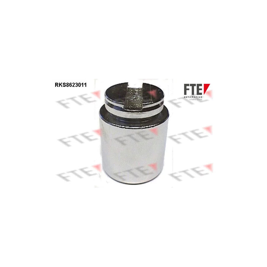 FTE Rks8623011 Piston, Brake Caliper
