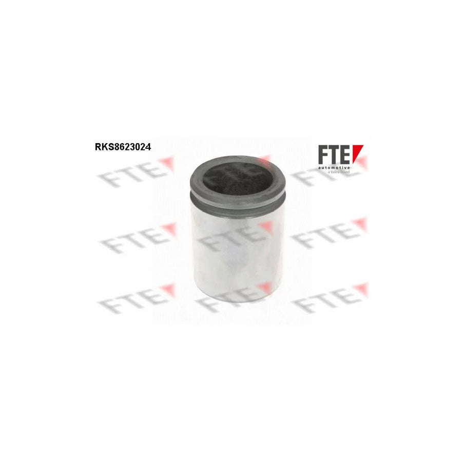 FTE Rks8623024 Piston, Brake Caliper for Iveco Daily