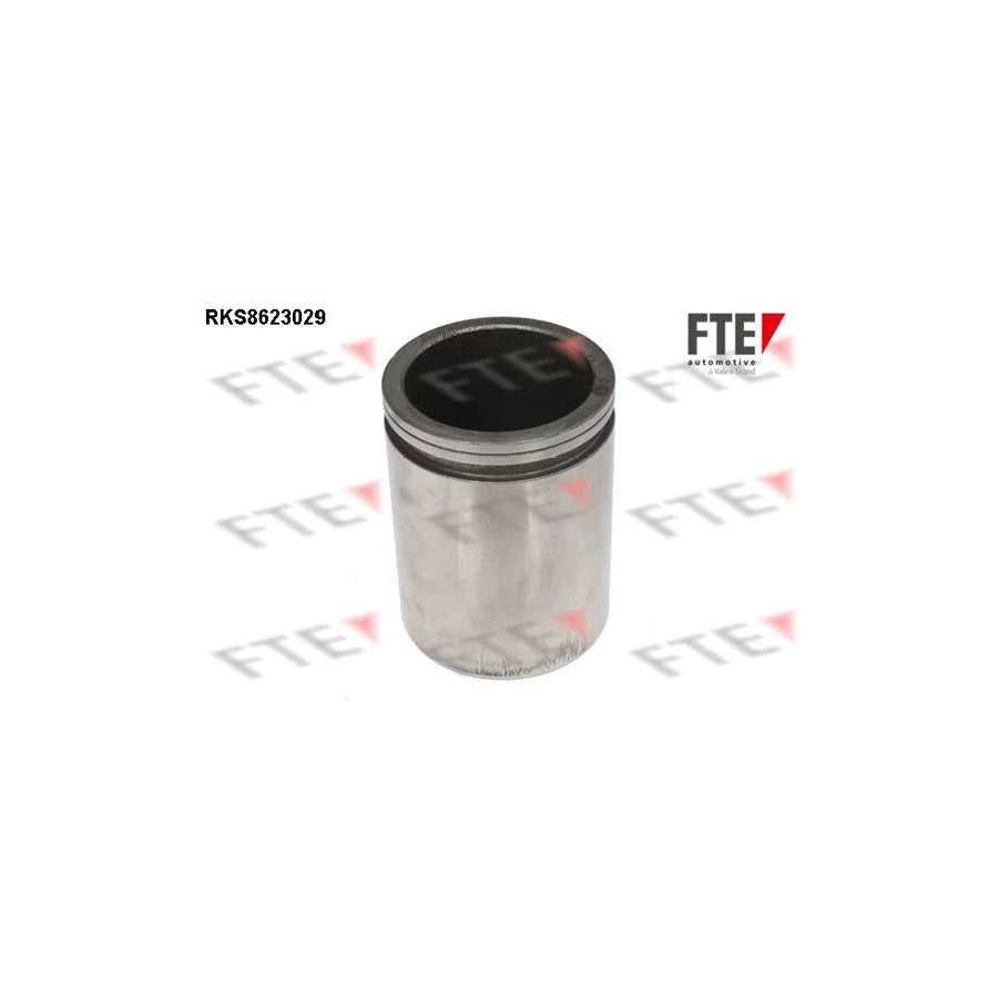 FTE Rks8623029 Piston, Brake Caliper